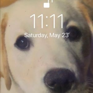 Meet your Posher, Carolyn